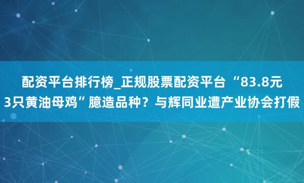 配资平台排行榜_正规股票配资平台 “83.8元3只黄油母鸡”臆造品种？与辉同业遭产业协会打假