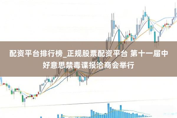 配资平台排行榜_正规股票配资平台 第十一届中好意思禁毒谍报洽商会举行